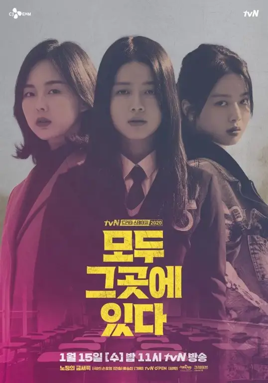 Poster drama Korea Dr. Cha