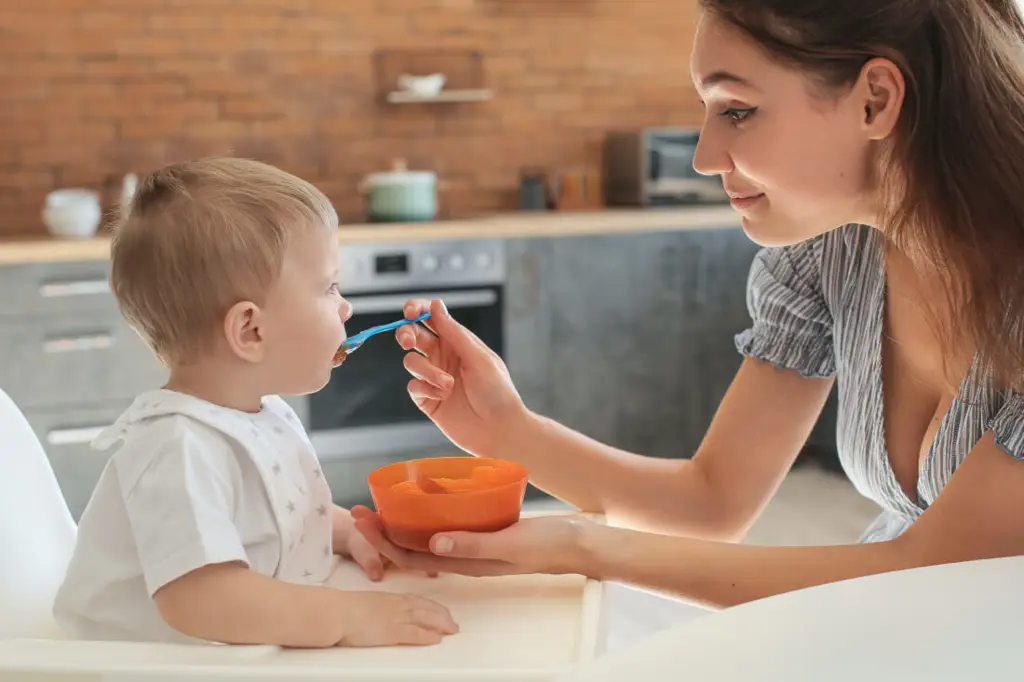 Ibu memberi makan bayi