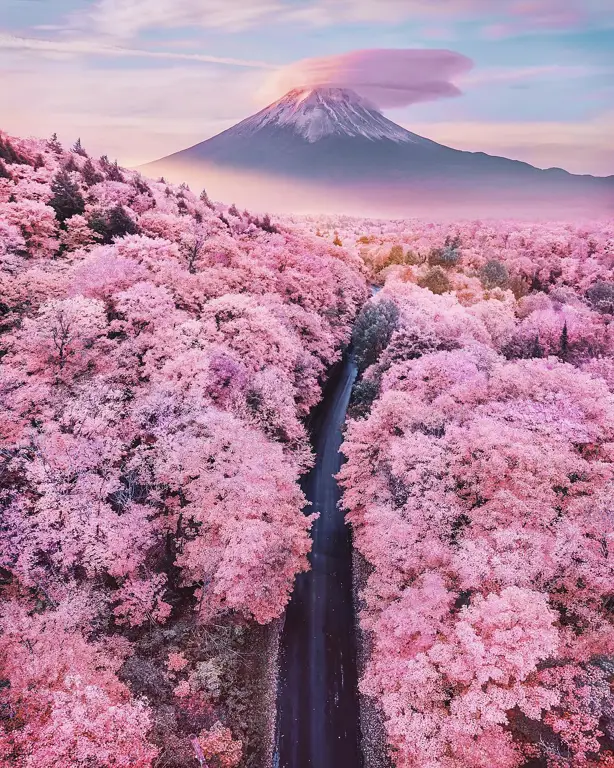 Pemandangan Gunung Fuji yang megah