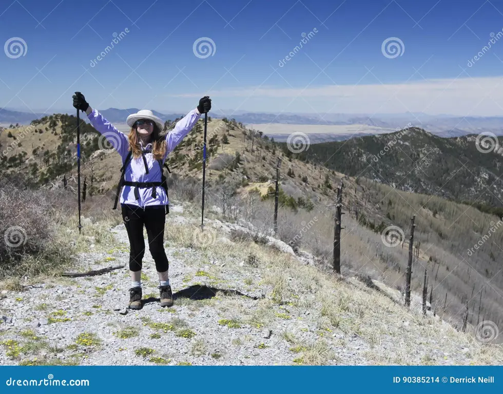 Pendaki mencapai puncak gunung