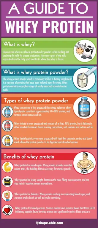 Rencana diet sehat dengan protein whey