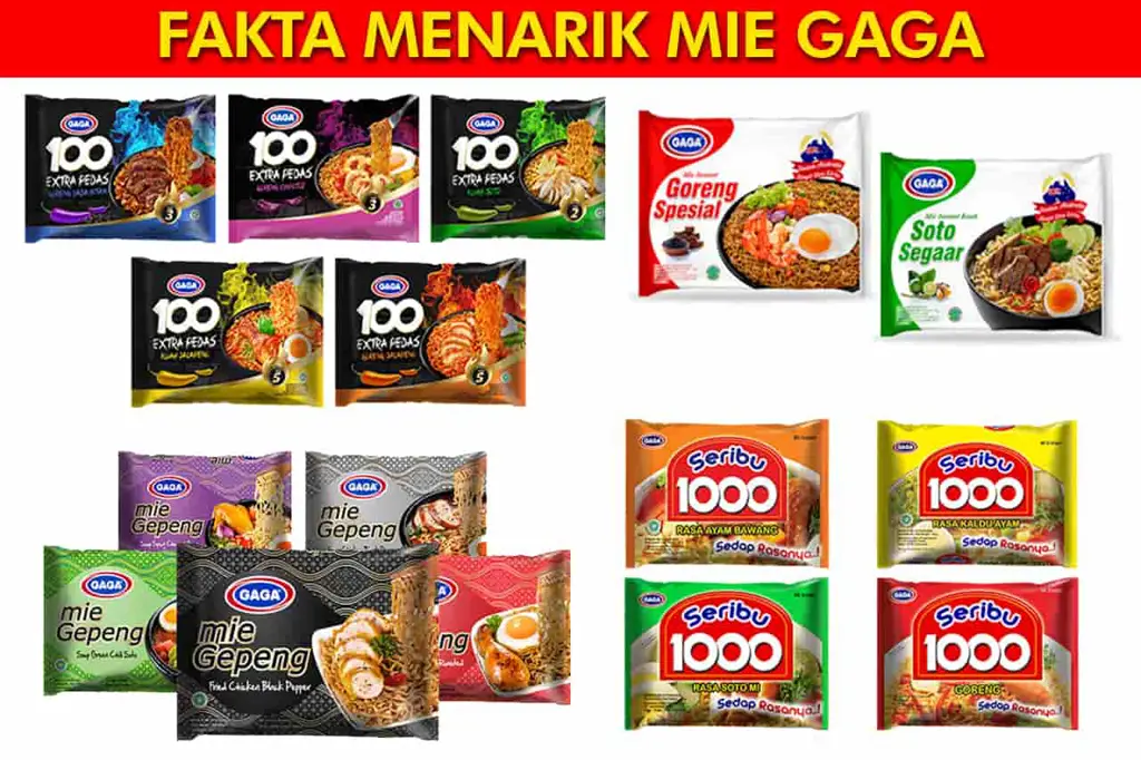 Mie gaga yang disajikan dengan cantik