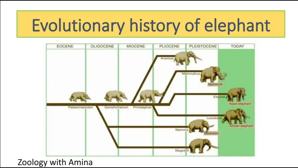 Garis waktu evolusi dvaj-434