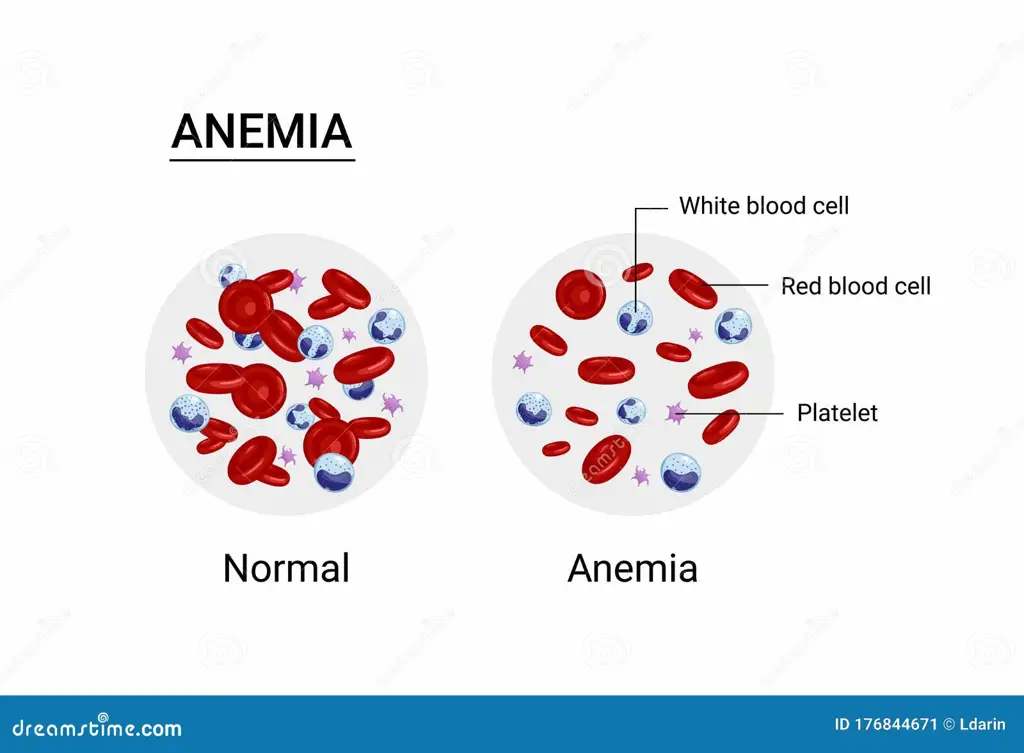 Gambar sel darah merah yang sehat