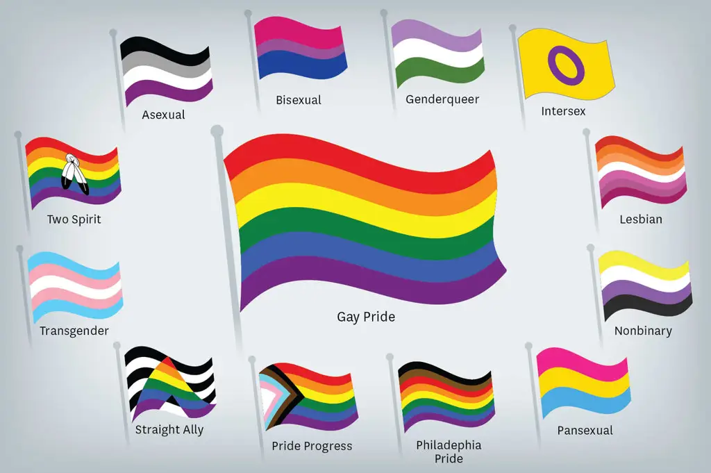 Bendera kebanggaan LGBTQ+