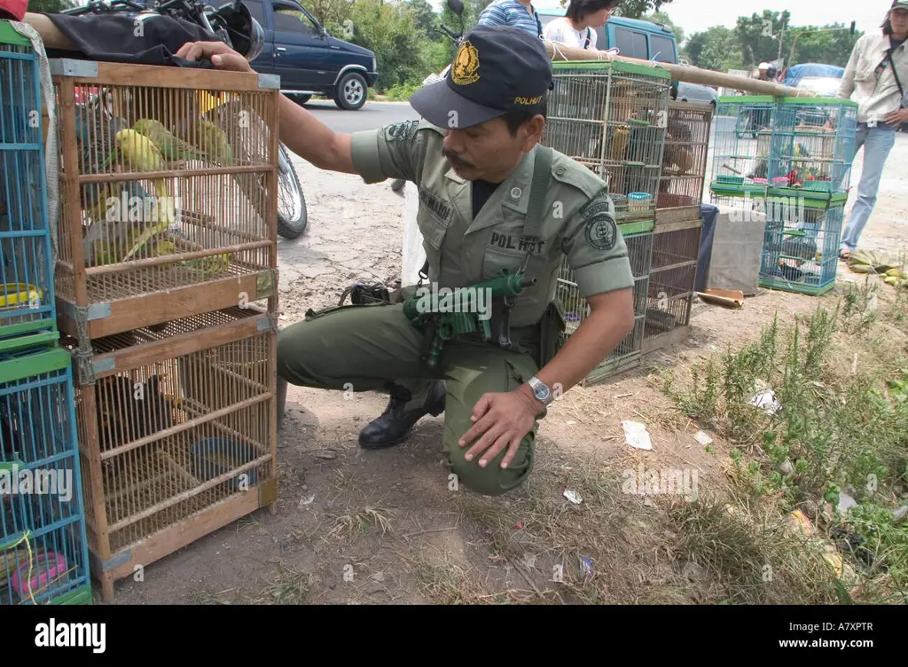 Gambar yang menunjukkan simbol penegakan hukum di Indonesia