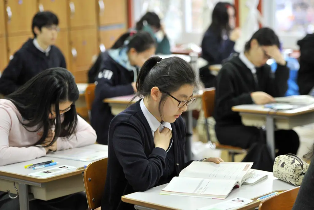 Gambar seorang siswa Korea sedang belajar