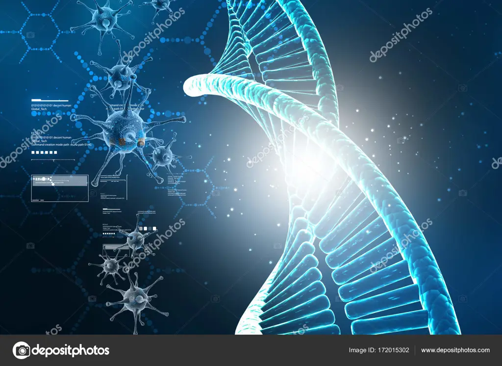 Ilustrasi Struktur DNA