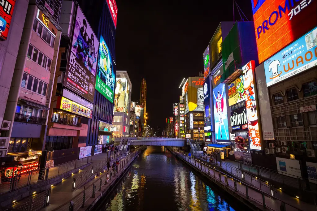 Kehidupan Malam Dotonbori yang Semarak