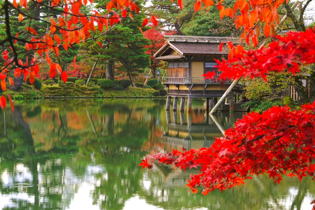 Taman Zen Jepang yang menenangkan