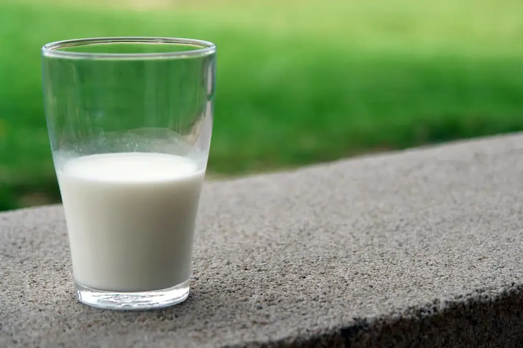 Segelas susu dengan bubuk protein tambahan