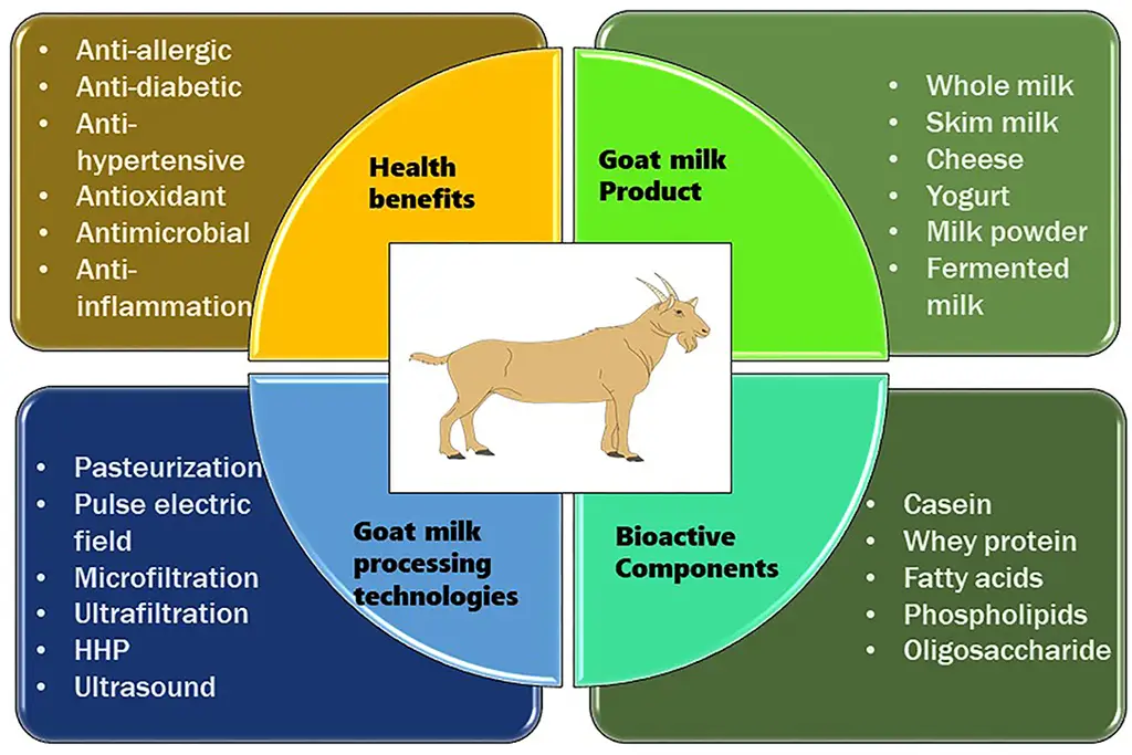 Manfaat Susu Kambing Gomars untuk Kesehatan