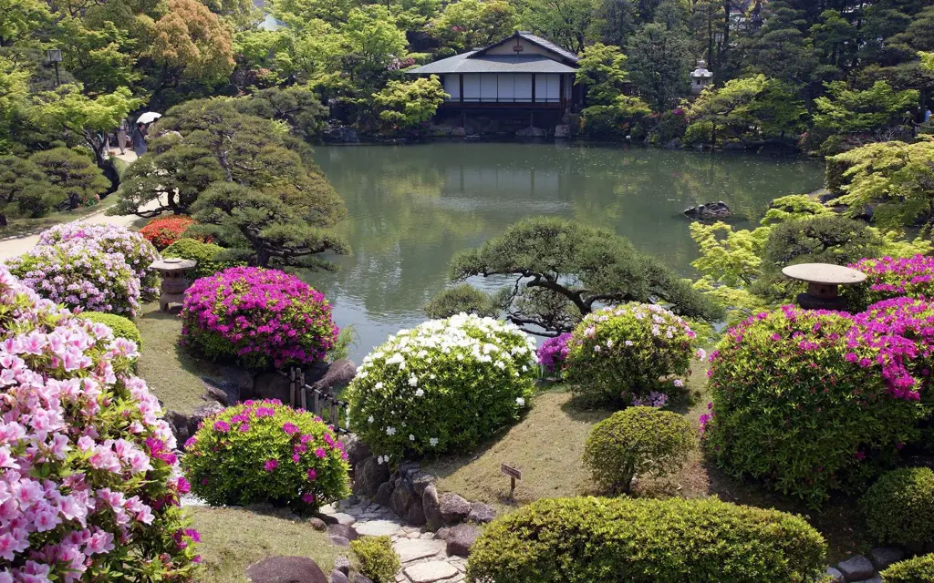 Gambar taman Jepang dengan bunga violet