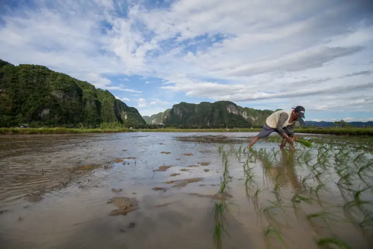 Petani Indonesia menggunakan teknologi pertanian modern