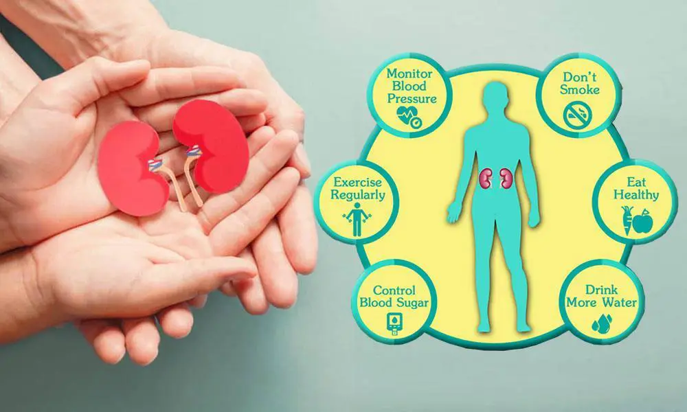 Tips menjaga kesehatan ginjal