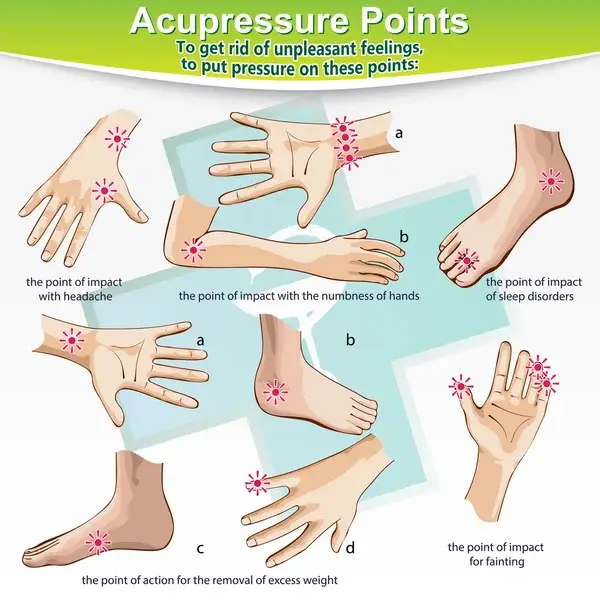 Diagram titik-titik pijat Shiatsu