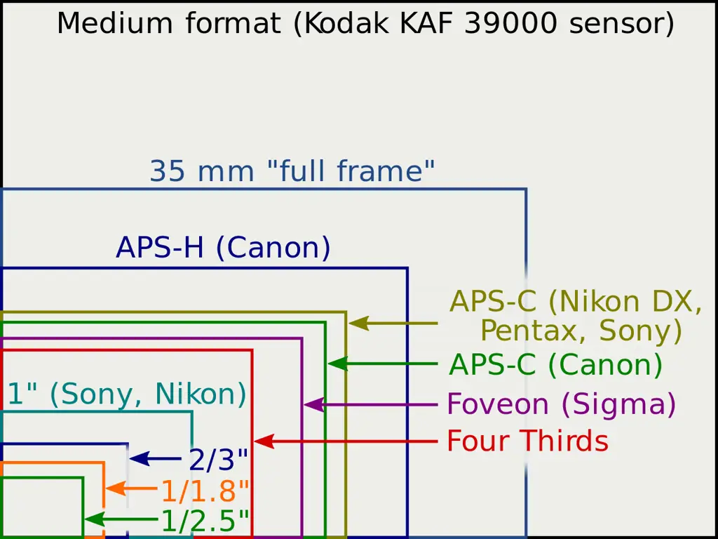 Bagan perbandingan ukuran sensor kamera