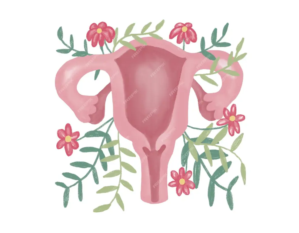 Ilustrasi vagina yang sehat