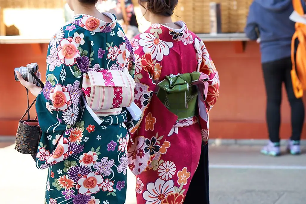 Seorang wanita Jepang mengenakan pakaian tradisional